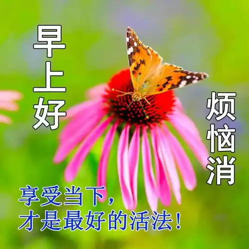  新版创意精美的早安祝福语图片大全今日早安问候语祝福图片