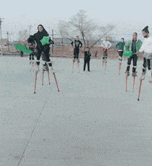 哈士奇动态图片搞笑gif