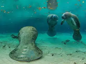 边走边看世界的三月国家地理精彩图集  边走边看世界的三月国家地理精彩图集