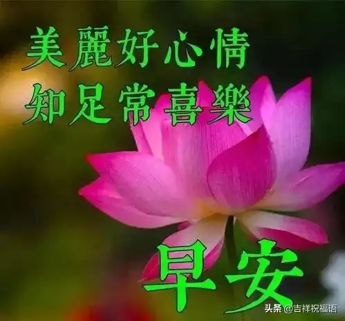  把脾气拿出来,那叫本能把脾气压回去,才叫本事,早上好