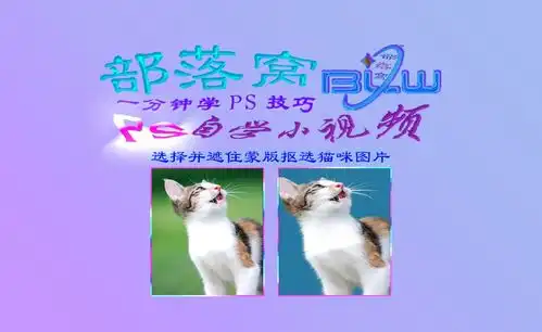  ps抠选猫咪图片视频选择并遮住抠图蒙版区域选择调整边缘