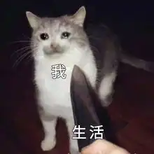  78942019年宁波春季求职平均月薪出炉薪水最高的行业是