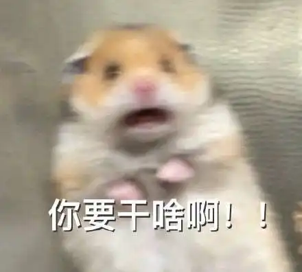  有什么好玩有趣的图片表情包吗