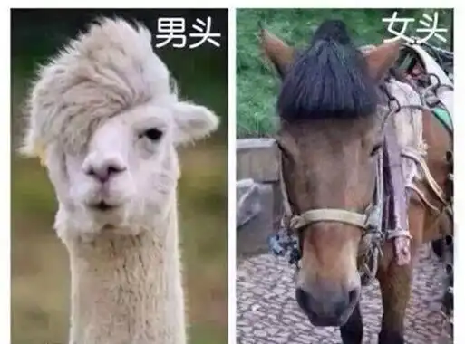  找亮点