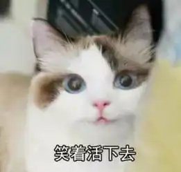  专业外科医生给狗做手术,杀鸡用牛刀你怎么看
