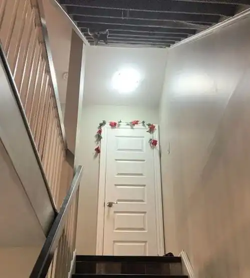 我的猫有时候很奇怪  我的猫有时候很奇怪