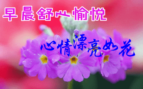 清晨问候图片搞笑图片动