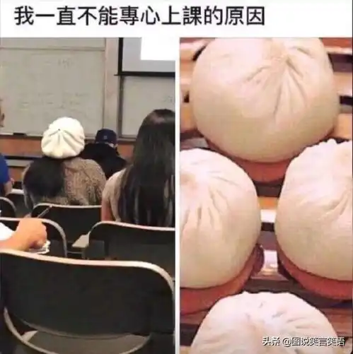  不小心在岳母手机看到的,这是什么聚会哈哈哈网友评论绝了