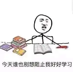  校园纯爱文推荐,认认真真搞学习顺带谈个小恋爱