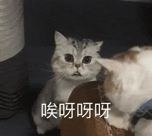  赞赞亲口承认言行不当诶,虾虾的澄清图终究是错付了