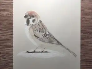  彩铅画鸟