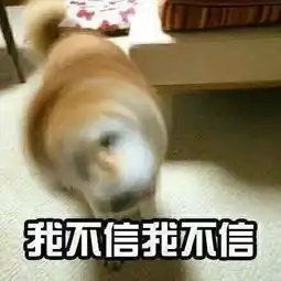  广州落榜火炉城市仍热skr人老广一杯茶即可续命