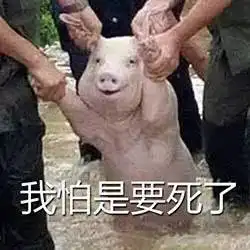  关于超强台风山竹的那些图片,第一张我就笑了10分钟......