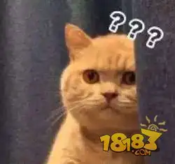  当熟练掌握各种魔法后你却拿来烹饪