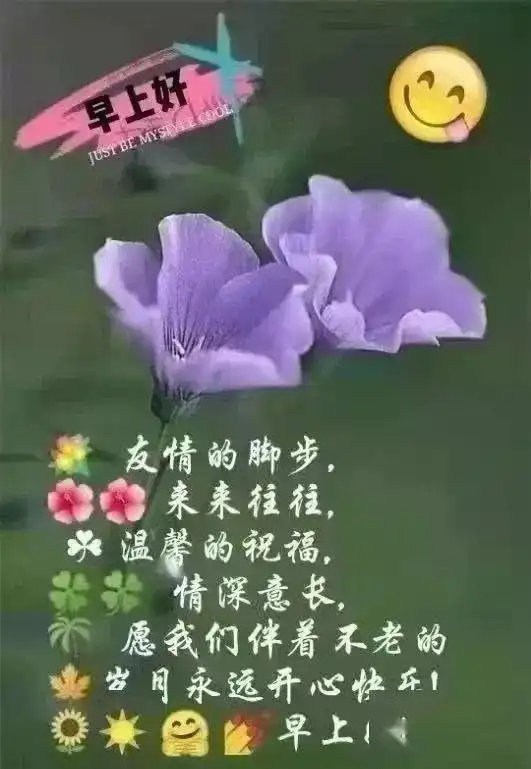  优美的早安祝福语带字图片微信群发的早安精美问候祝福语句