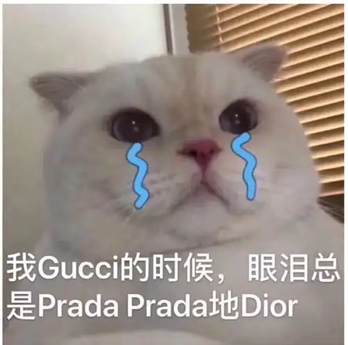  求助,地图家庭选择载入问题