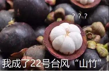  警报强度直逼莫兰蒂17级最强台风杀来了将正面登陆狂风暴雨,航班动车或大面积逼停