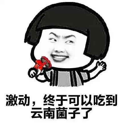  又有人被菌子毒翻快来看看着菌闹的都看到了些什么
