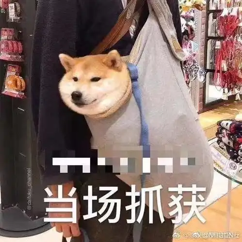  要我说,部分小画家狙风凌简直就是在给女主党递刀子