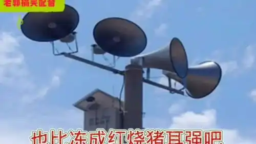 北方大降温河南一村长大喇叭讲话太搞笑了  北方大降温河南一村长大喇叭讲话太搞笑了