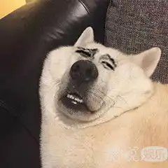  剧情不够名字来凑,听说电视剧名集齐七个字可以召唤神龙