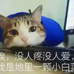  啦啦啦,我终于又回来了,在那学校真是跟监狱智障吧唧.的美拍