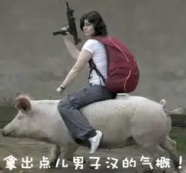猪图片大全搞笑可爱疯狂