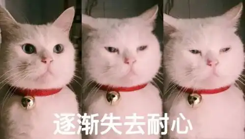  全年降雨最多月份来了未来柳州高温暴雨,桑拿天驾到