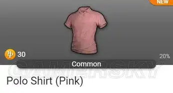 绝地求生militia箱子能开出哪些服装服装饰品一览 绝地求生militia箱子能开出哪些服装服装饰品一览