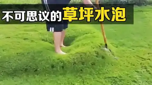  不可思议的草坪水泡,踩上后软软的,戳开后有趣的现象发生了