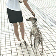  怎么了妹子浪到一半就不行了