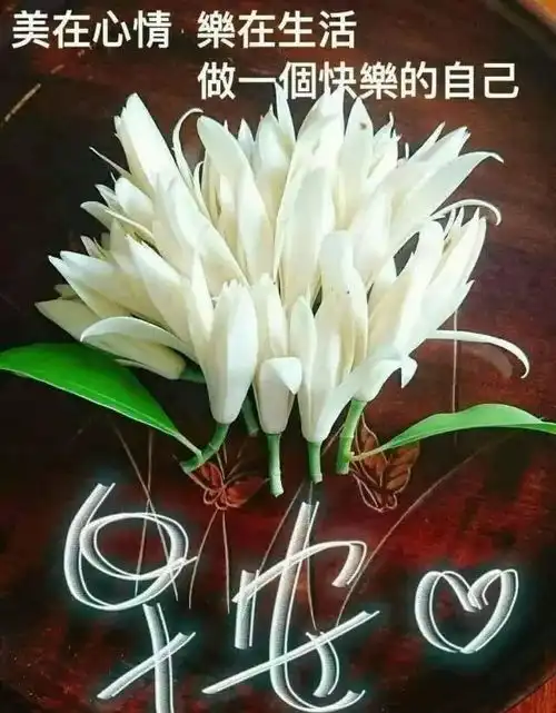 周五最新版早安问候语录祝福图片带字最美早上好问候表情早安动图  周五最新版早安问候语录祝福图片带字最美早上好问候表情早安动图