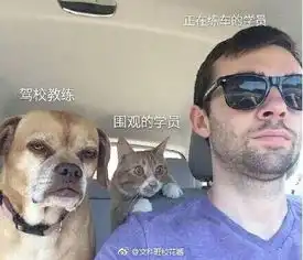  幽默搞笑段子集哈哈哈,夫妻本是同林鸟,让你减肥我有招