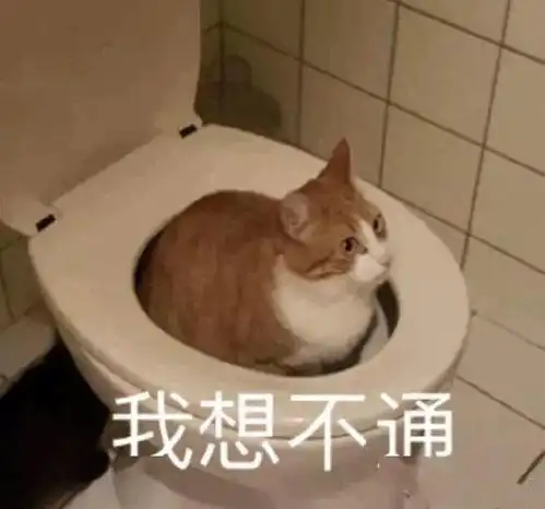  搞笑沙雕表情包真是乌龟办走读,鳖不住校了