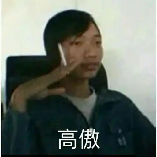 搞笑表情包 沙雕图片赘婿