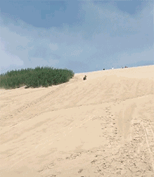 搞笑段子触摸恐惧症,大哥你还能再怂一点吗你这是摸到啥了  搞笑段子触摸恐惧症,大哥你还能再怂一点吗你这是摸到啥了