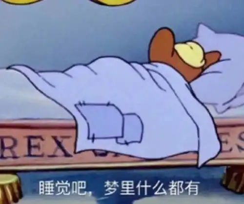 睡觉了的图片搞笑表情睡