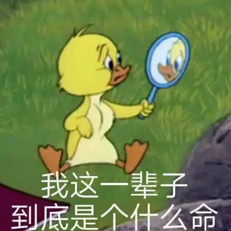 乖别怕表情包龙雀
