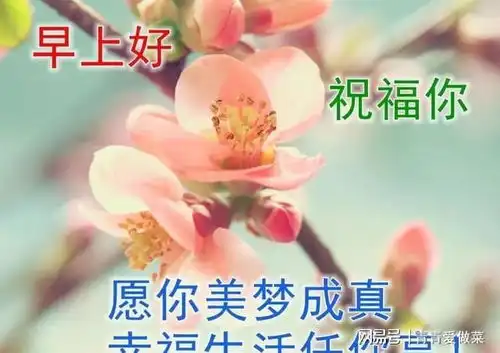  特漂亮的早上好问候语表情美女图片,特别新的早上好问候语