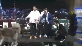  弹力球也能如此搞笑,看国外牛人如何玩转