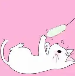 尼日利亚黑里俏视频直播全集尼日利亚黑里俏资料大全yy官方  尼日利亚黑里俏视频直播全集尼日利亚黑里俏资料大全yy官方