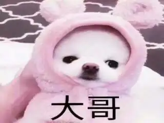 搞笑图片集 微信可爱