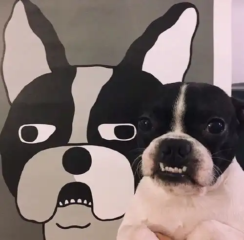 好看的可爱搞笑图片大全2017总是.先说爱的先不爱  好看的可爱搞笑图片大全2017总是.先说爱的先不爱