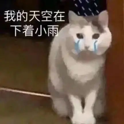雨表情包阵雨