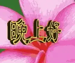  晚安最新暖心祝福语晚安问候语大全