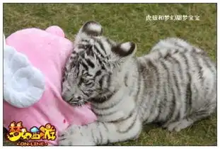  梦幻西游推出吉祥物虎妞闪亮登场