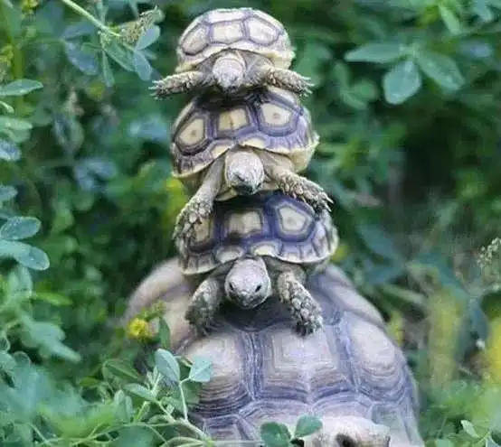  笑话段子搞笑图片我不爱吃鸡蛋那就喝点汤吧