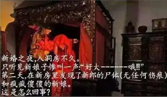  个人动态