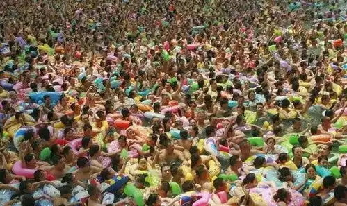 搞笑图片集锦带字游泳