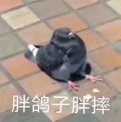 睡觉了的图片搞笑表情冷